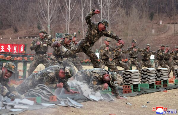 Снимок базы подготовки спецназа в Северной Корее. - Sputnik Таджикистан