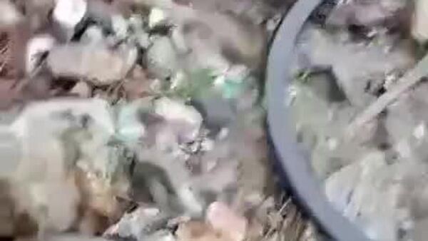 Садама дар роҳи Душанбе - Хуҷанд - Sputnik Тоҷикистон