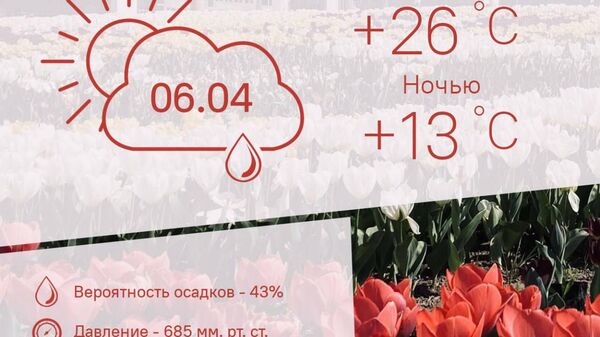 Тепло и дождливо: такая погода будет в Душанбе 6 апреля - Sputnik Таджикистан