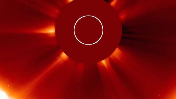 Солнце поглотило самую яркую комету года - Sputnik Таджикистан