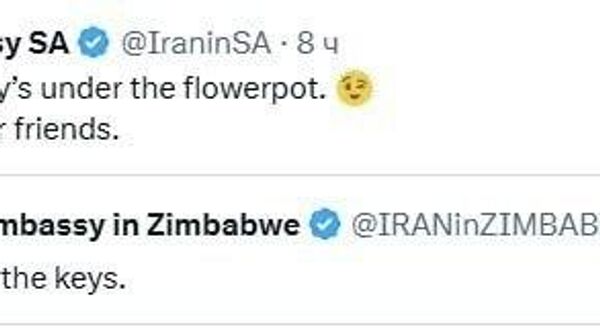 Мы потеряли ключи - иранские дипломаты иронично ответили на ультиматум Трампа об открытии Ормузского пролива - Sputnik Таджикистан