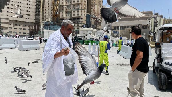 Мусульманский паломник кормит голубей возле Большой мечети во время ежегодного паломничества хадж в Мекку, Саудовская Аравия. - Sputnik Тоҷикистон