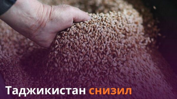 Импорт казахстанского дурума в Таджикистан упал до 4,3 тыс - Sputnik Таджикистан