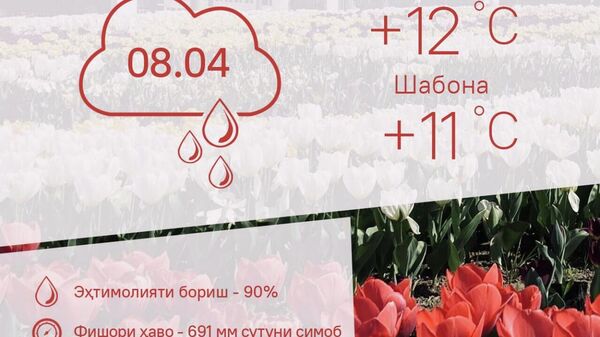 Ҳарорати миёнаи ҳаво дар пойтахти Тоҷикистон то 12 дараҷа гармӣ поин меравад - Sputnik Тоҷикистон