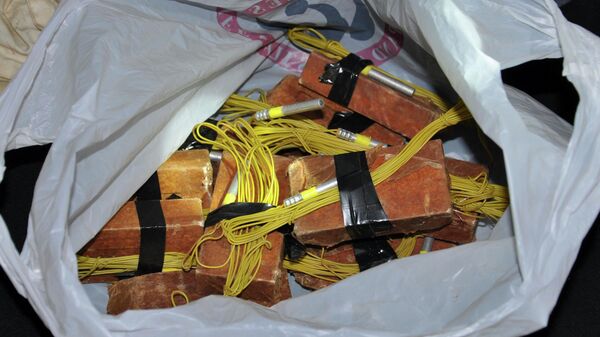 Взрывчатка, изъятая сербской полицией, недалеко от границы с Хорватией. Иллюстративное фото - Sputnik Таджикистан