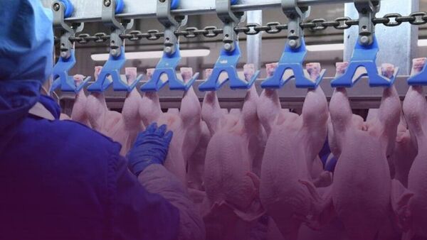 Россия поставила в Таджикистан 2,7 тыс - Sputnik Таджикистан