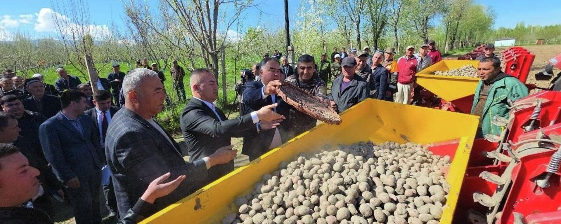 Дар Панҷакент, дар 2500 гектар картошка кишт карда мешавад - Sputnik Тоҷикистон, 1920, 10.04.2026