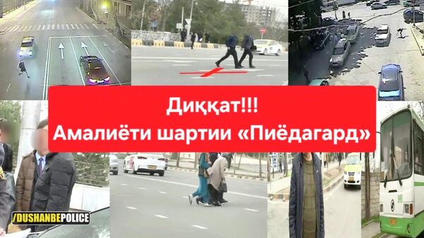 БДА ронандагону пиёдагардони қонуншиканро сайд мекунад - Sputnik Тоҷикистон