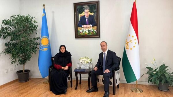 Таджикистан и Иран усилят консульскую помощь гражданам - Sputnik Таджикистан