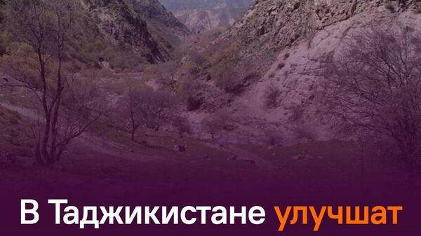 В заповеднике Тигровая балка установят водопропускную трубу, сообщает Комитет по охране окружающей среды РТ - Sputnik Таджикистан