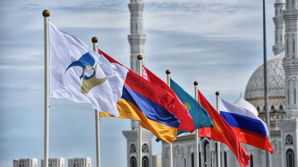 Флаги России, Киргизии, Казахстана, Белоруссии, Армении, а также с символикой Евразийского экономического союза (ЕАЭС)  - Sputnik Тоҷикистон