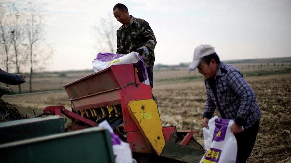 Фермеры загружают мешки с удобрениями в сеялку на пшеничном поле в городе Наньян, провинция Хэнань, Китай. - Sputnik Таджикистан