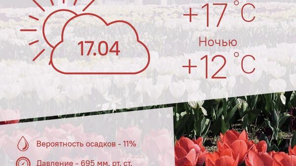 Тепло и облачно будет в Душанбе 17 апреля - Sputnik Таджикистан