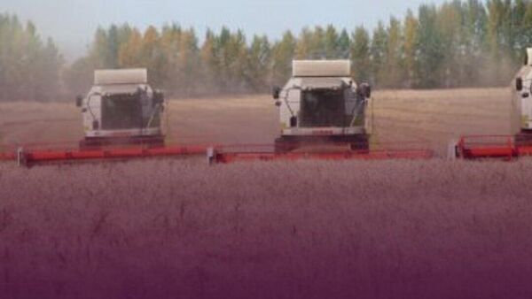 Хатлон произвел сельхозпродукцию на 2,2 млрд сомони - Sputnik Таджикистан