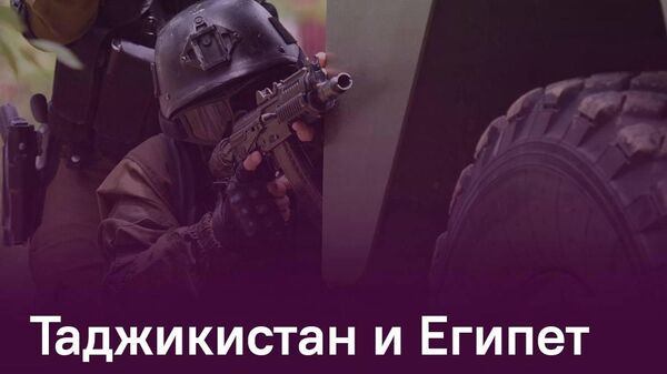 Правоохранительные органы Таджикистана и Египта будут развивать сотрудничество, сообщает МВД - Sputnik Таджикистан