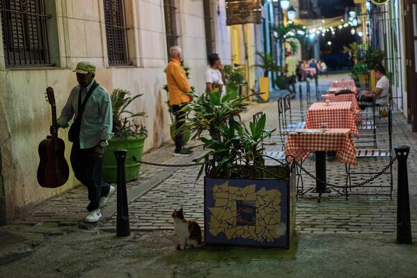 Мусиқинавози кӯчагӣ аз назди тарабхонае дар Ҳавана мегузарад. - Sputnik Тоҷикистон