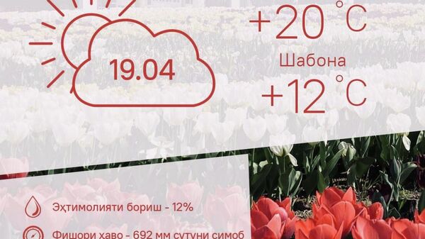 Ҳарорати миёнаи ҳаво дар пойтахти Тоҷикистон 20 дараҷа гарм мешавад - Sputnik Тоҷикистон