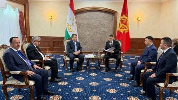 Тоҷикистону Қирғизистон ҳамкориҳоро дар бахши тандурустӣ густариш медиҳанд - Sputnik Тоҷикистон