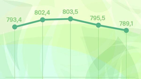 Сомони в России подешевеет почти на 6,5 рубля в среду, следует из данных ЦБ РФ - Sputnik Таджикистан