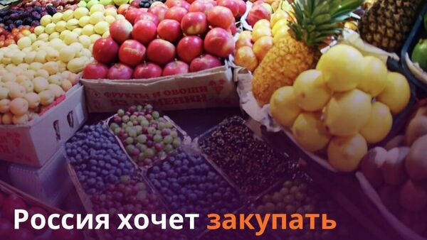 Таджикистан активизируют поставки ранних овощей на российский рынок - Sputnik Таджикистан