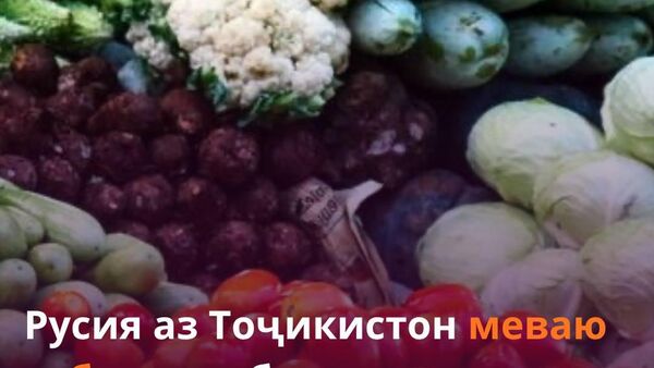 Тоҷикистон бозори Русияро бо сабзавоти барвақтӣ таъмин мекунад - Sputnik Тоҷикистон