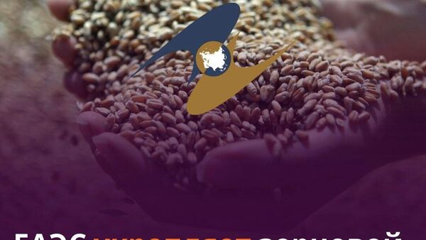 ЕАЭС укрепляет сотрудничество с Международным советом по зерну - Sputnik Таджикистан