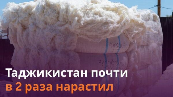 Таджикистан произвел почти 16,6 тыс - Sputnik Таджикистан
