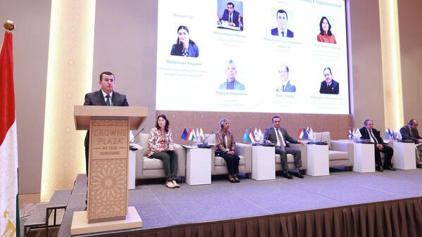 Первая Международная конференция по мониторингу и оценке в Душанбе. - Sputnik Таджикистан