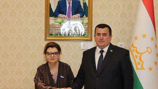 Таджикистан и ЮНФПА укрепят сотрудничество в сфере развития человеческого капитала - Sputnik Таджикистан
