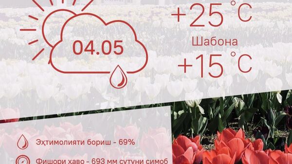 Ҳарорати миёнаи ҳаво дар пойтахти Тоҷикистон то 25 дараҷа гарм мешавад - Sputnik Тоҷикистон