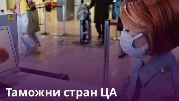 В Центральной Азии может появиться Цифровой таможенный и логистический альянс - Sputnik Таджикистан
