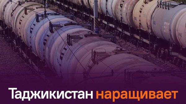 Таджикистан импортировал из России почти 300 тыс - Sputnik Таджикистан