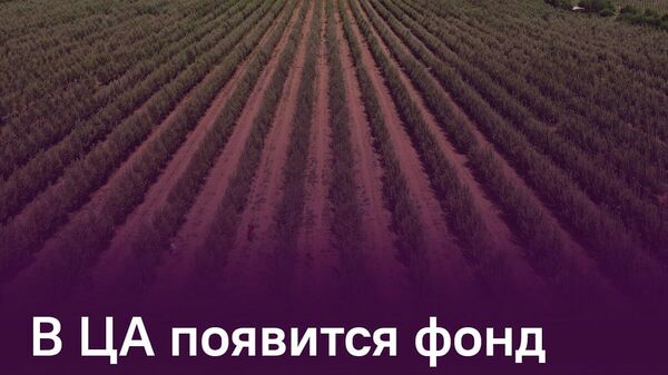 Таджикистан предложил создать специальный фонд для модернизации оросительных систем в Центральной Азии - Sputnik Таджикистан
