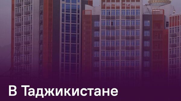 В Таджикистане приватизировали 332,8 тыс - Sputnik Таджикистан