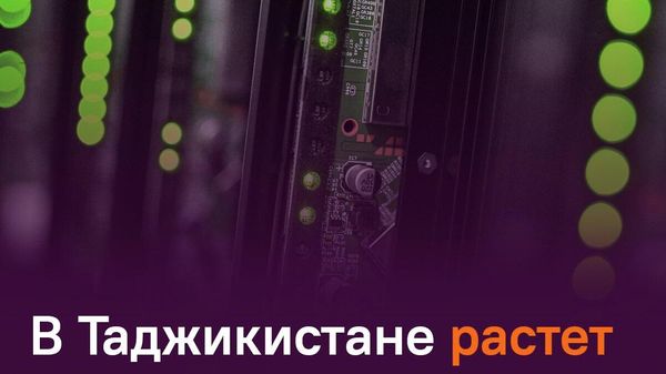 В Таджикистане стационарный интернет набирает популярность быстрее мобильного - Sputnik Таджикистан