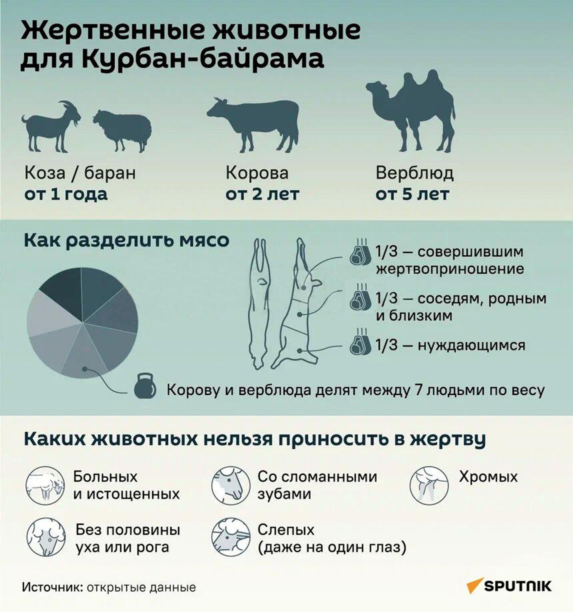 Жертвенные животные для Курбан-байрама - Sputnik Таджикистан, 1920, 25.05.2026