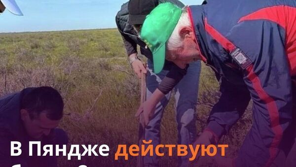 В Пяндже продолжается сбор урожая - Sputnik Таджикистан