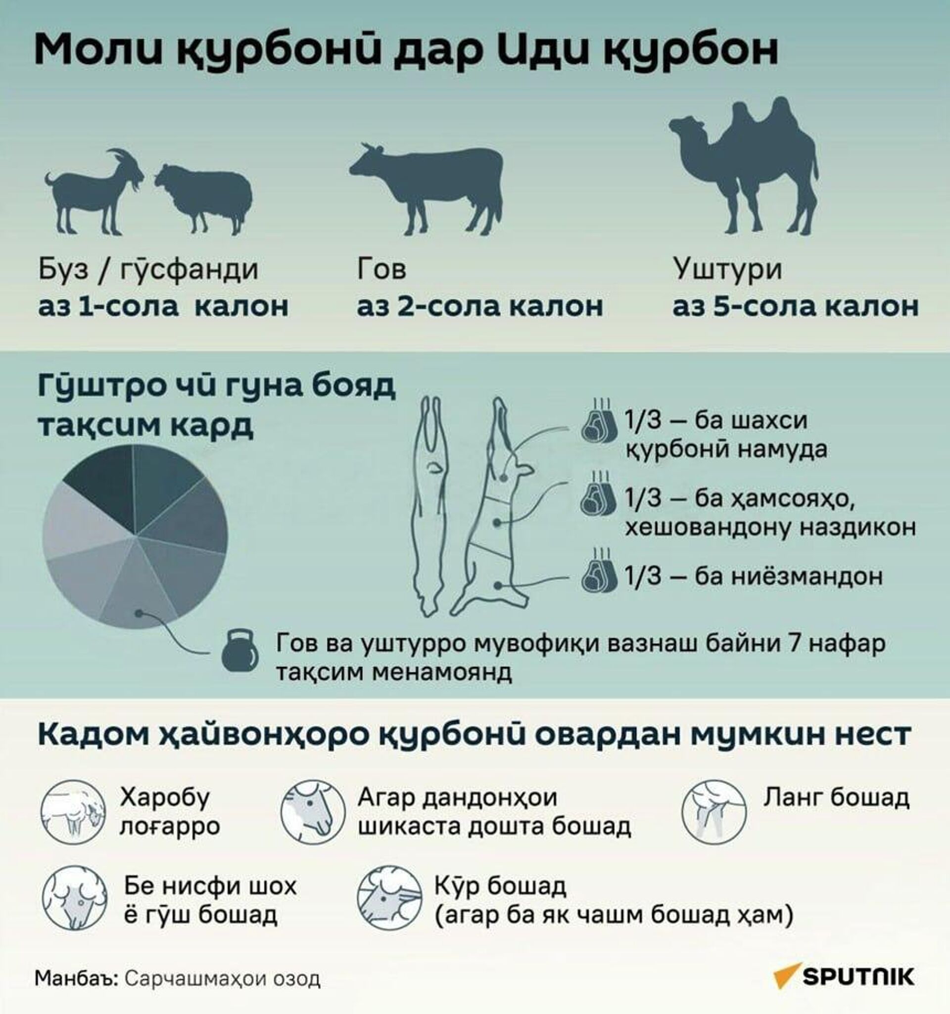 Лоғару лангу бедандон ҷоиз нест: Кадом ҳайвонро қурбонӣ кардан мумкин аст? - Sputnik Тоҷикистон, 1920, 25.05.2026