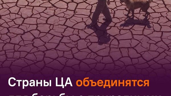 Таджикистан и соседи по Центральной Азии усилят координацию при трансграничных ЧС - Sputnik Таджикистан