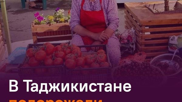 Цены на черешню в Худжанде взлетели до 57 сомони за килограмм - Sputnik Таджикистан