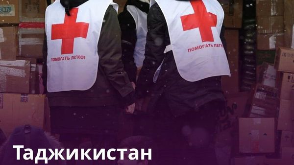 Таджикистан и Красный Крест расширят сотрудничество в сфере водоснабжения - Sputnik Таджикистан