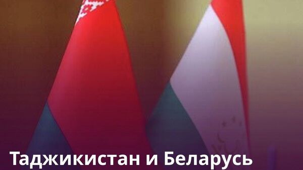Таджикистан и Беларусь расширяют сотрудничество в области сертификации научных кадров - Sputnik Таджикистан