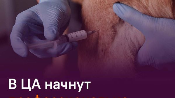 В Центральной Азии появится первый реабилитационный центр для диких животных - Sputnik Таджикистан