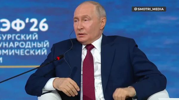 Зависимость России от нефтегазовых доходов существенно снизилась, заявил Путин - Sputnik Таджикистан