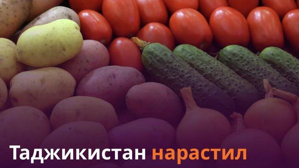 Таджикистан произвел сельхозпродукцию на 7,6 млрд сомони - Sputnik Таджикистан