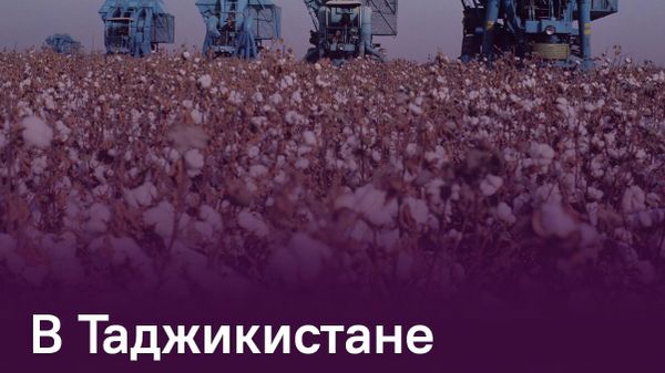 Свыше 182 тыс - Sputnik Таджикистан