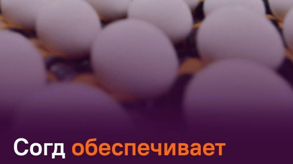 Согд наращивает птицеводство - Sputnik Таджикистан