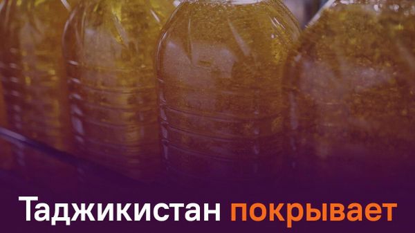 Таджикистан произвел 9,9 тыс - Sputnik Таджикистан