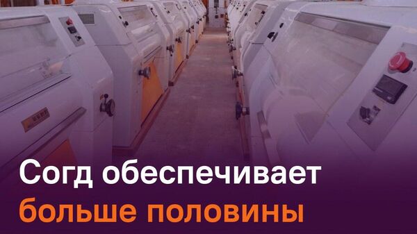 В Согде сконцентрировано 63% промпроизводства Таджикистана - Sputnik Таджикистан