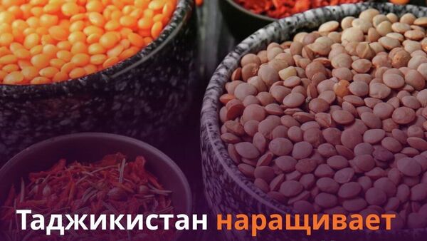 Таджикистан экспортировал растительную продукцию на 25,5 млн - Sputnik Таджикистан